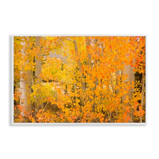 Stupell Industries Dense Birch Foliage Framed Giclee Art